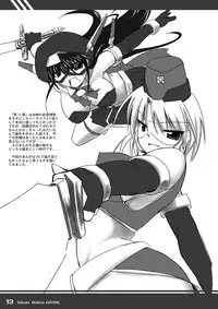 (C77) [Visual Biscuits (Tokihama Jirou)] Kagaku Touki Silver Raina Extra