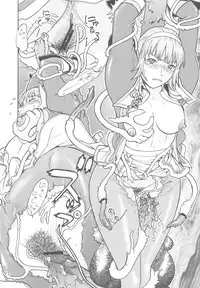 [From Japan] FYC R11Y (Various)