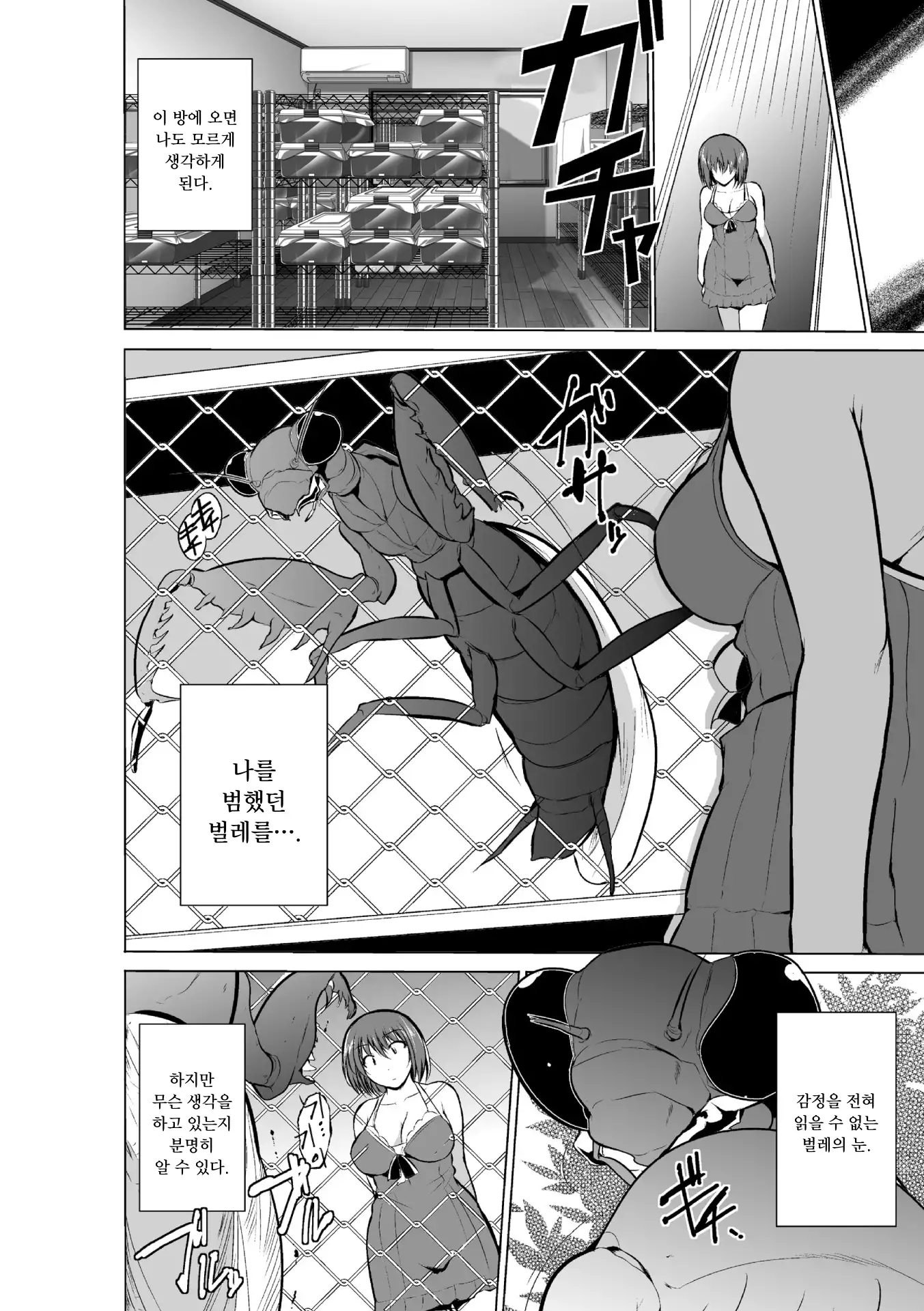 Mushi Asobi | 벌레유희