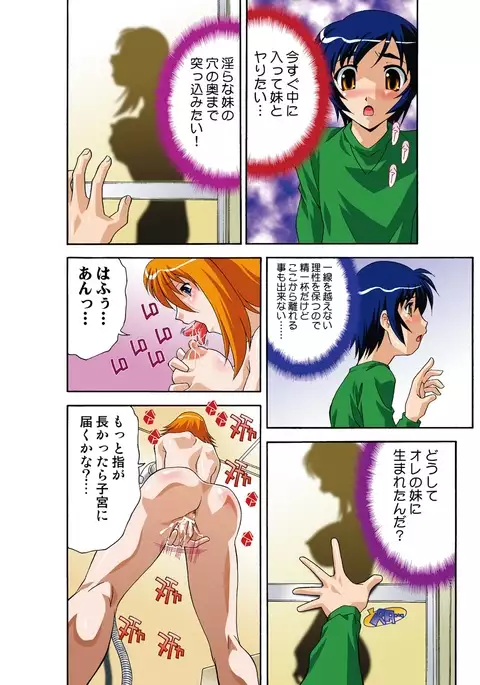 Itsuka Imouto o Okashisou na Ore no Nikuyoku