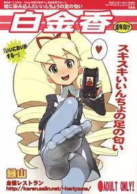 (SC39) [Zenra Restaurant (Heriyama)] Shirogane Kou (Megaman Starforce)