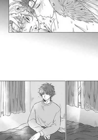 Fukurou no Koiwazurai | 猫头鹰的相思病