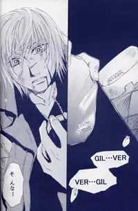 [Devil May Cry] Fragment (VergilxDante)