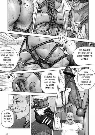 Kai Makoto Training Dog