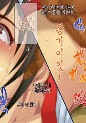 Satomori no Miko Daisanshou Jijo "Nagomi" Zenpen