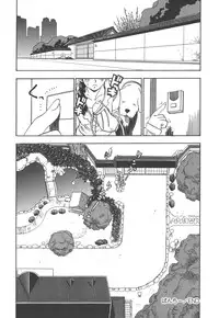 [Penicillin XI] Panchii