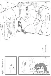 (C73) [Kanmidokoro USB (Furiri)] TIGER CAT (Lucky☆Star)