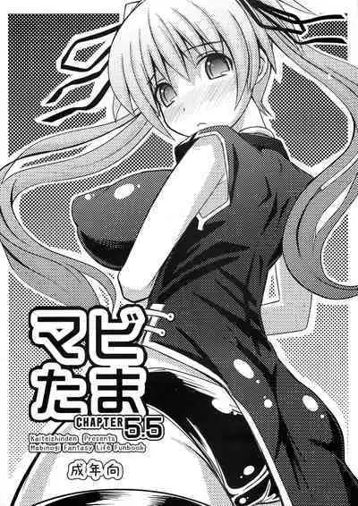 (C77) [Kaiteisinden (Rentaichou)] Mabi Tama 5.5 (Mabinogi)