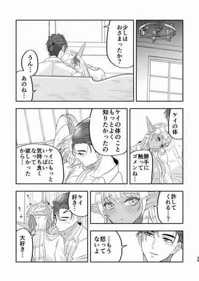 Wizard's love affairs