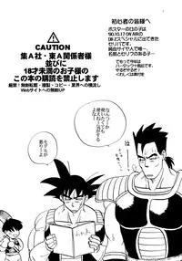 [Chirigami Goya, Fusuma Goten (Shoji Hariko, Kuri)] Wakayo (Dragon Ball GT)