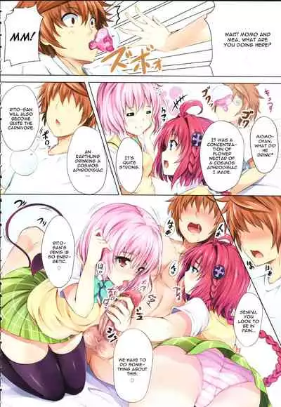 To LoVe-Ru Party