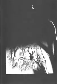 (C58) [TEX-MEX (various)] Kunoichi Japan (various)