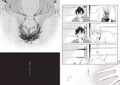 Hidamari no Snowman
