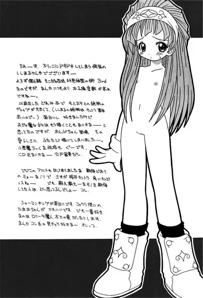 Soko da! Ninpou Youji Taikei no Jutsu 3rd