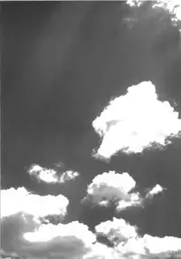 (C74) [Titokara 2nd Branch (Manami Tatsuya)] s.n.e.g? (Strike Witches)