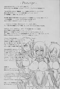 Shield Knight Elsain Vol. 10