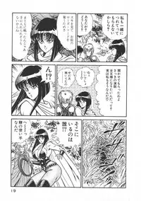 [Inui Haruka] Joousama Wars