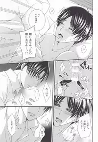 (C87) [DARK-OCEAN (Takagi Murasakisui)] Kanjou Control (Shingeki no Kyojin)