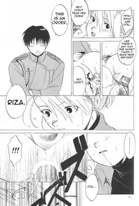 (C65) [Toko-ya (HEIZO, Kitoen)] Taisatyui (Fullmetal Alchemist) [English] =LWB=