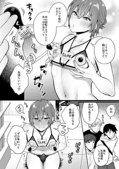 Otona no Omocha Ikaga desu ka?