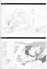 Bra-Ban Visual Fanbook