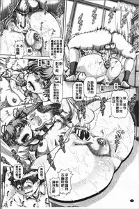 [TYPE.90] Inbo no Anazono [Chinese]