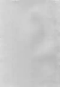 [CROCODILE-Ave. (Gangstar Yoshio)] Megamix G Kitsune (Gravitation)