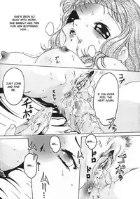 [Smilodon] Shoujo no Himegoto [English] {desudesu}