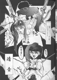 (CR18) [Tail of Nearly (Wakabayashi)] Shadow=Defence (Various)