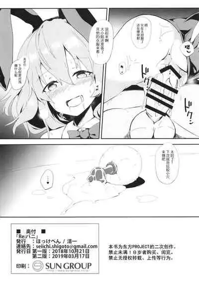 (Meikasai 13) [Hokkepen (Seiichi)] Re:Bunny (Touhou Project) [Chinese] [白杨汉化组]