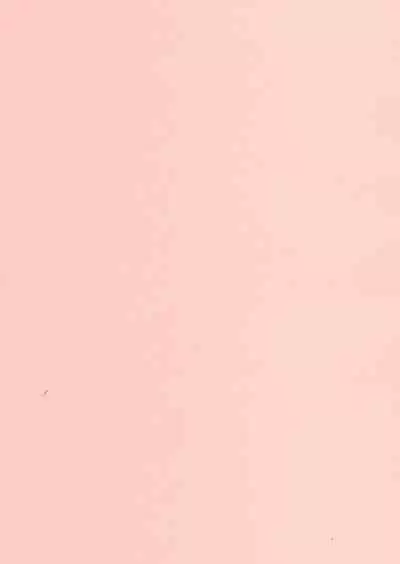 Mousou Note - Delution Notebook