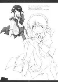 (C66) [PEACE MAKER (E=MC2)] NECO/33/MEGANE