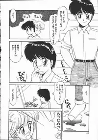 [DONKEY] Pokapoka Fantasy