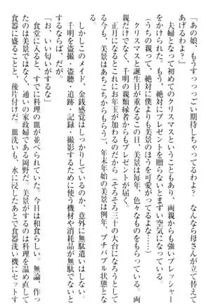 年上メイドの新婚日記