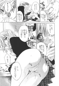 [Sid Alice] Epicurean Syndrome