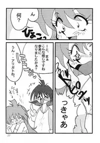 [Ginmomodou (Mita Satomi)] Slayers Adult 8 (Slayers)