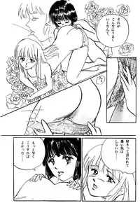 High School Hakusho (Sailor Moon anthology)