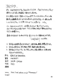 (C63) [Hinemosuan (Hinemosu Notari)] GIRLS IN RAGNAROK (Ragnarok Online)