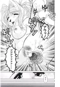 [Kumasaka Ramao] Injutsu Shinansho Sangou