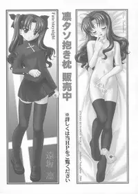 (C66) [STUDIO RUNAWAY WOLF (Nakajima Akihiko)] Fahrenheit 99 (Fate/stay night)