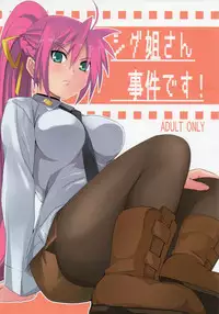 (C75) [Senpenbankashiki (DATE)] Shigu Nee-san Jiken desu! (Mahou Shoujo Lyrical Nanoha)