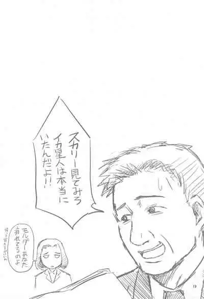 Ikaseijin Hi Chousa Report