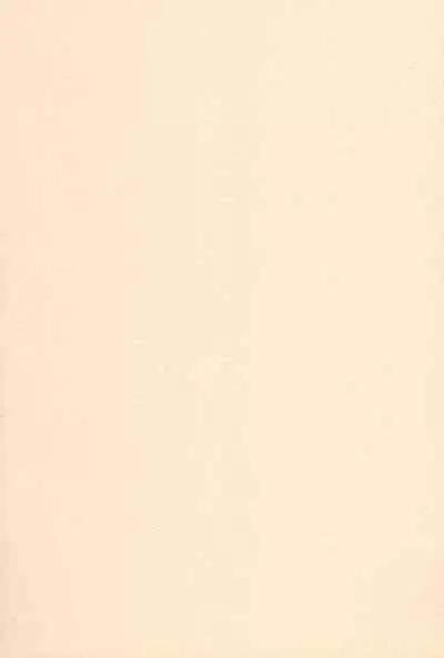 (CR25) [Fresnel Lens (Hirano Kana)] PLUS (Cardcaptor Sakura)