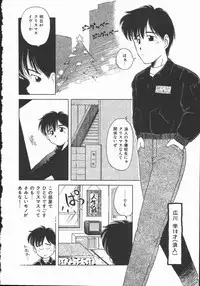 [DONKEY] Pokapoka Fantasy