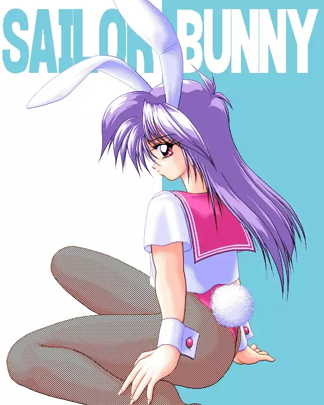 Sailor Bunny Gashuu Sono Ichi