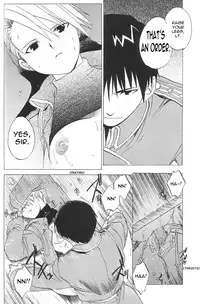 (C65) [Toko-ya (HEIZO, Kitoen)] Taisatyui (Fullmetal Alchemist) [English] =LWB=