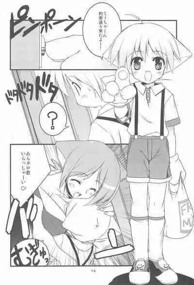 MIRACLE SWEET DREAM 2