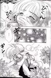 [Abe Ryu] [2000 Summer] Wolf and Cherry