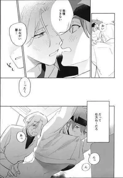 Kawaīkara shōganai!