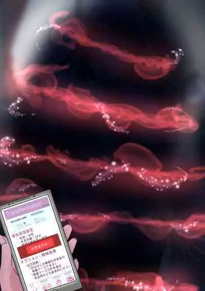 Rim Shien Site Back Number